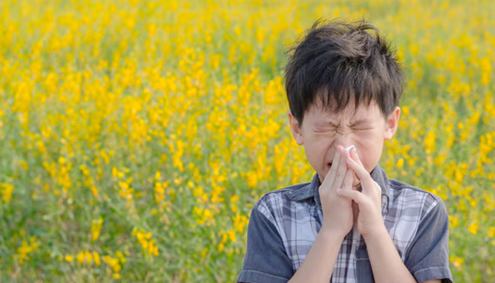 Why February Feels Confusing to the Body: The Science of Seasonal Transition